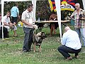 img 175